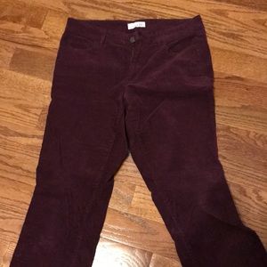 Ann Taylor loft pants